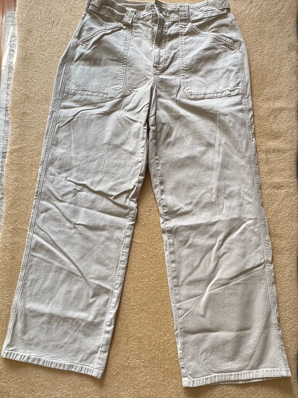 American Eagle Outfitters Stovepipe Light Tan Wide-Leg Utility Pants